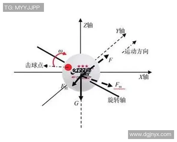 武汉乒乓球队节奏体系解析与战术运用探讨